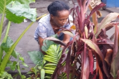 carnaval EA plantation (4)